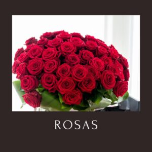 Rosas