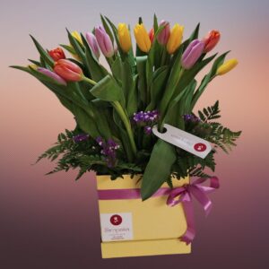 Box de 15 tulipanes