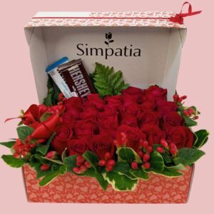Simpatia-1